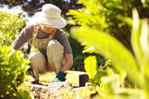 Accessibility support request section for Brixton landscaping