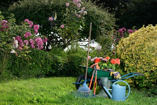 A local Brixton garden redesign featuring hard landscaping and border planting