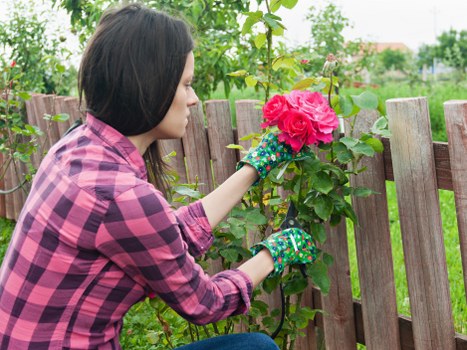 Landscape worker assessing site safety before gardening work