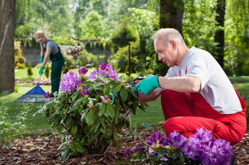 Emergency response planning for outdoor landscaping site