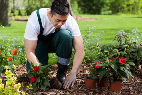Brixton landscape design with hardscaping, borders, and seasonal planting features