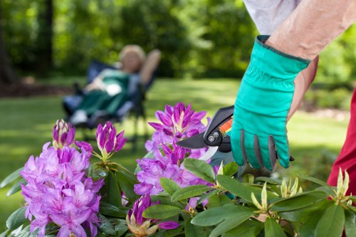 Fresh turf and border preparation as part of soft landscaping