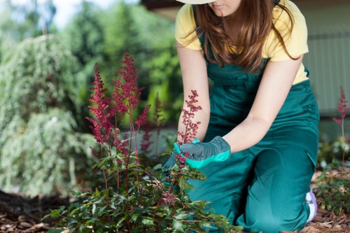 Keyboard navigation and accessibility features for local landscaping
