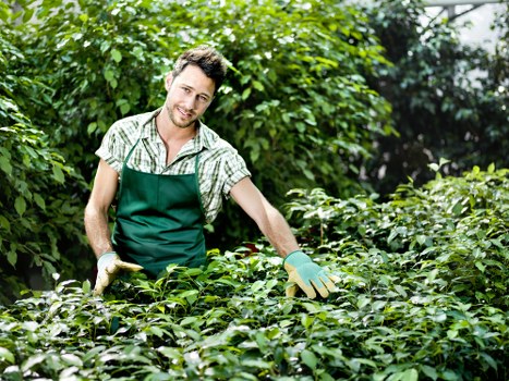 Affordable landscaping quotes for busy Brixton homes and mixed-access properties
