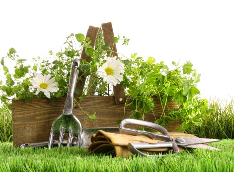 Cubic-yard rates for green waste and soil removal in Brixton landscaping