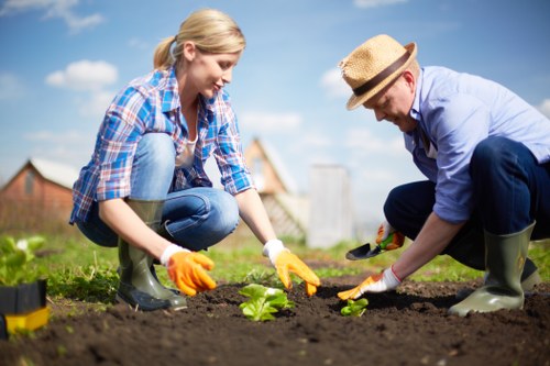 Urban garden planting suitable for Brixton homes and shaded spaces