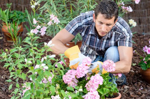 Residential and commercial hard landscaping solutions in Brixton