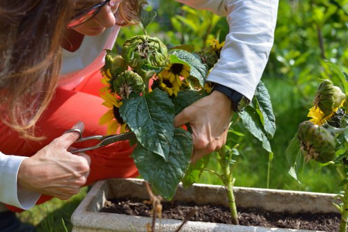 Free quote policy for Brixton landscaping with transparent site assessment